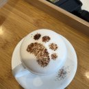 댕댕 쉼터 이미지