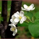 행복한자원봉사센터 이미지