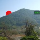 (주)하루약방
