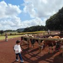 승준목장 이미지