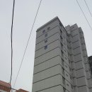 토운모닝톤 이미지