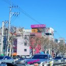 수성동대구피부과의원 네이버블로그
