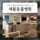 이피퀴스 말동물병원 | 수원 영통 소동물 특수동물 진료보는 곳 : 새봄동물병원 햄스터 진찰 비용 후기