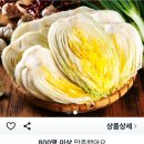 배추가 금추네 이미지