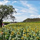 연천호로고루 이미지