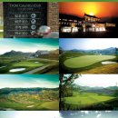 타니스테이 이미지