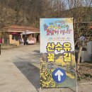 산수유축제장 이미지