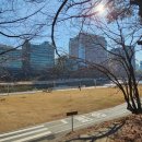 황새울교 앞 이미지