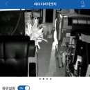 정읍맛집 매운탕이 끝내줘요