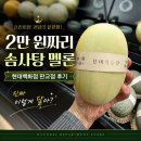 무안점현대자동차 | 손바닥만한 멜론이 2만 원? 현대백화점 솜사탕 멜론 직접 먹어봤습니다 +수박 프레시테이블 이용 꿀팁