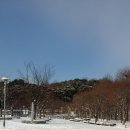 버스정류소_서부면허시험장 이미지