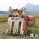 안성마춤농협조합공동사업법인 이미지