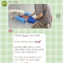 커몬댕댕 광주애견유치원&애견호텔 | 광주 광산구 애견유치원 커몬댕댕 등원 솔직 후기 (광주반려견유치원)