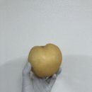 오달농원 네이버블로그