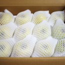 쭈니푸드 이미지