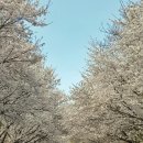 카리바이크 이미지
