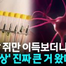 맨날 쥐만 이득보더니... 노벨상 진짜 큰 거 왔다 이미지