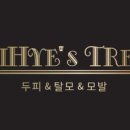 지혜클리닝 이미지