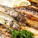 신흥장어 이미지