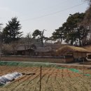 운파고택 이미지