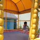 돼지꿈마을 이미지