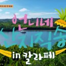 우림라이프주