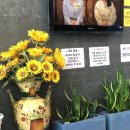 서창밝은안과의원 이미지