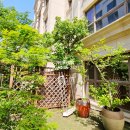 청담파라곤공인중개사사무소 이미지