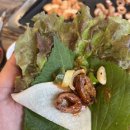 그린막창 | 안지랑곱창 그린곱창 막창 맛집 추천 후기