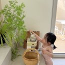 플랜티풀랜드 이미지