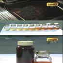 양심이치킨