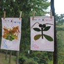 비버어린이집 이미지