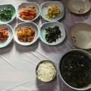 대가 신 물회 이미지