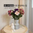 플라워버드꽃뽕 | 온라인 꽃집 버드앤비 플라워 생화 택배 후기, 꽃 인테리어 효과