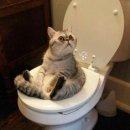 창문연합의원 이미지