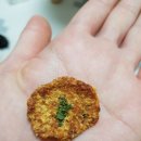 뚱독스 수제간식 이미지