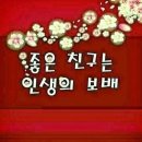 보배