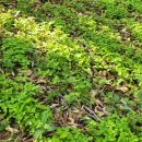 무이농장 이미지