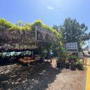 기장집국수 이미지