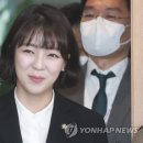 [정치] 김은혜, 경기지사 출마로 사의…尹당선인 새 대변인에 배현진 이미지