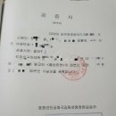 중국대학 졸업증 공증 / 성적증명서 공증