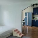 평생 사랑해 줄 개 애견펜션 이미지