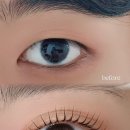 브로우쉼터 이미지