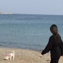 알데아 | 포항 애견동반 펜션 펫블랙2 알데아풀빌라 펜션❤️