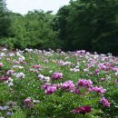 모란파크 이미지