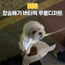 신대방삼거리 장승배기 버터떡 파는 푸롱디저트 영업시간 후기