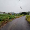 덕우부동산공인중개사사무소 네이버블로그