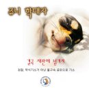 쥬니통상