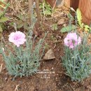 송인농장 이미지