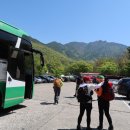 유가사 주차장(구) 이미지